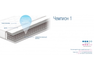 Sonline Чемпион 1 инфографика