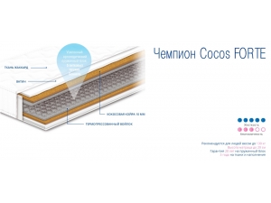 Sonline Чемпион Cocos Forte инфографика