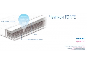 Сонлайн Чемпион Forte инфографика