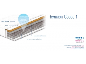 Модель Чемпион Cocos 1 инфографика
