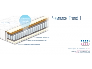 Модель Чемпион Trend 1 инфографика 