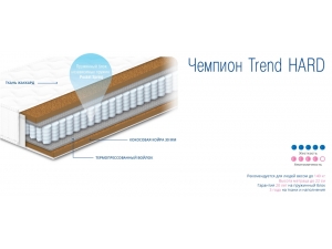 Сонлайн Чемпион Trend Hard инфографика