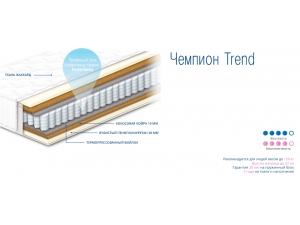 Чемпион Trend инфографика