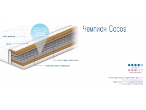 Champion Cocos инфографика