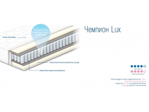Информационный график Чемпион Lux