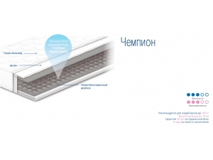 Sonline Чемпион инфографика