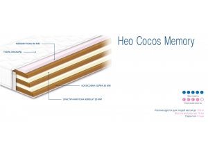 Sonline Нео Cocos Memory инфографика