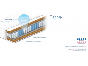 Sonline Персей инфографика