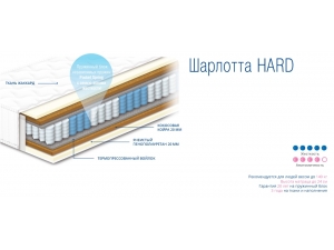 Sonline Шарлотта Hard инфографика
