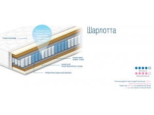 Инфографика матраса Шарлотта